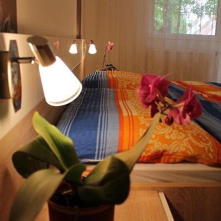 Anita Apartman Bük エクステリア 写真